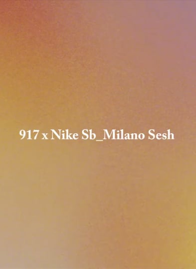 917 x Nike SB Milano Sesh