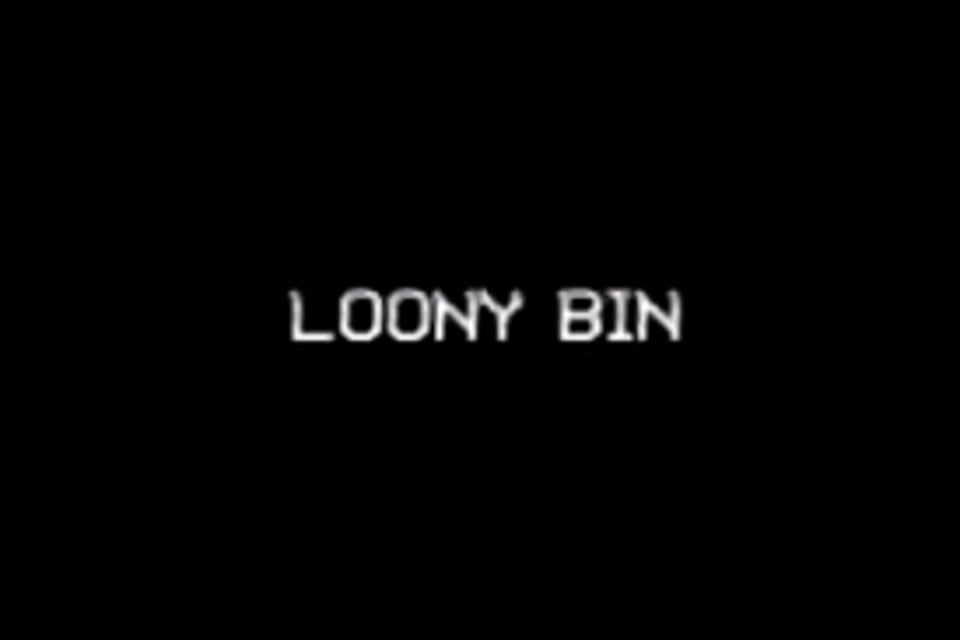 Loony Bin
