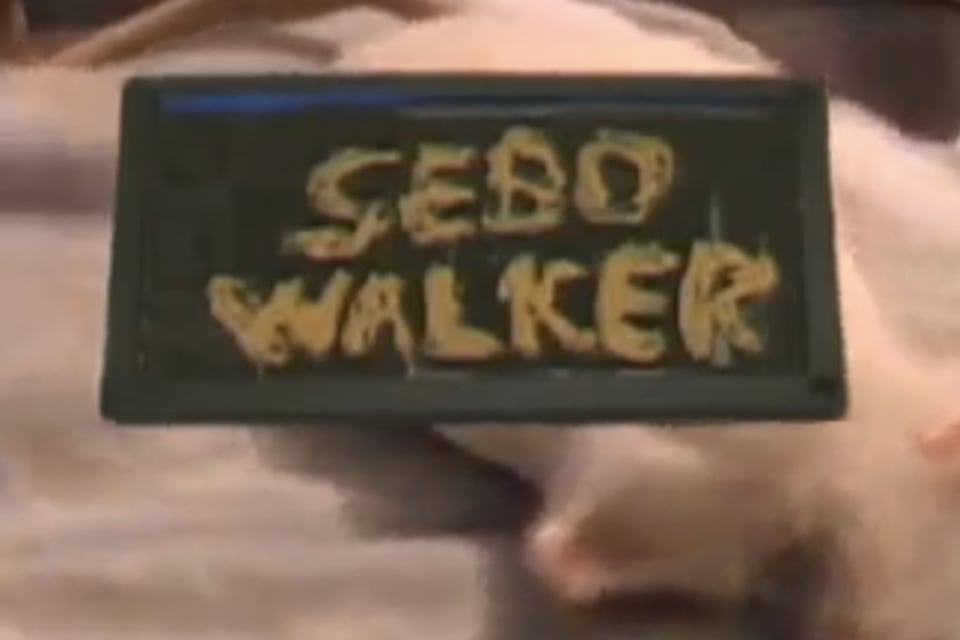 Sebo Walker – Rat Poison