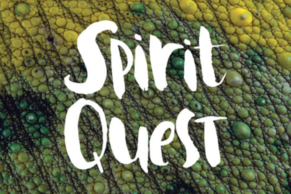 Cardona & Kim – Spirit Quest