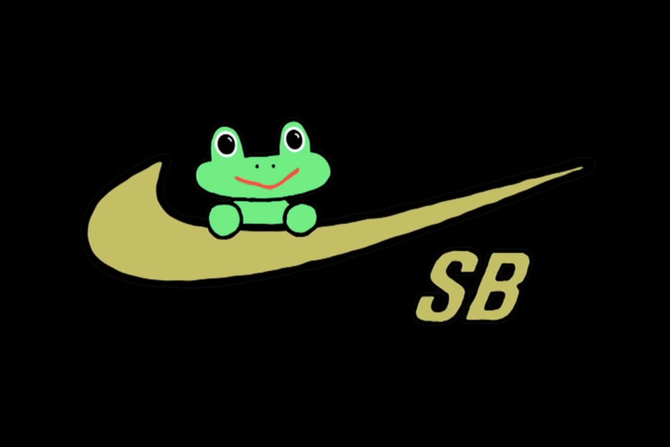 Frog x Nike SB