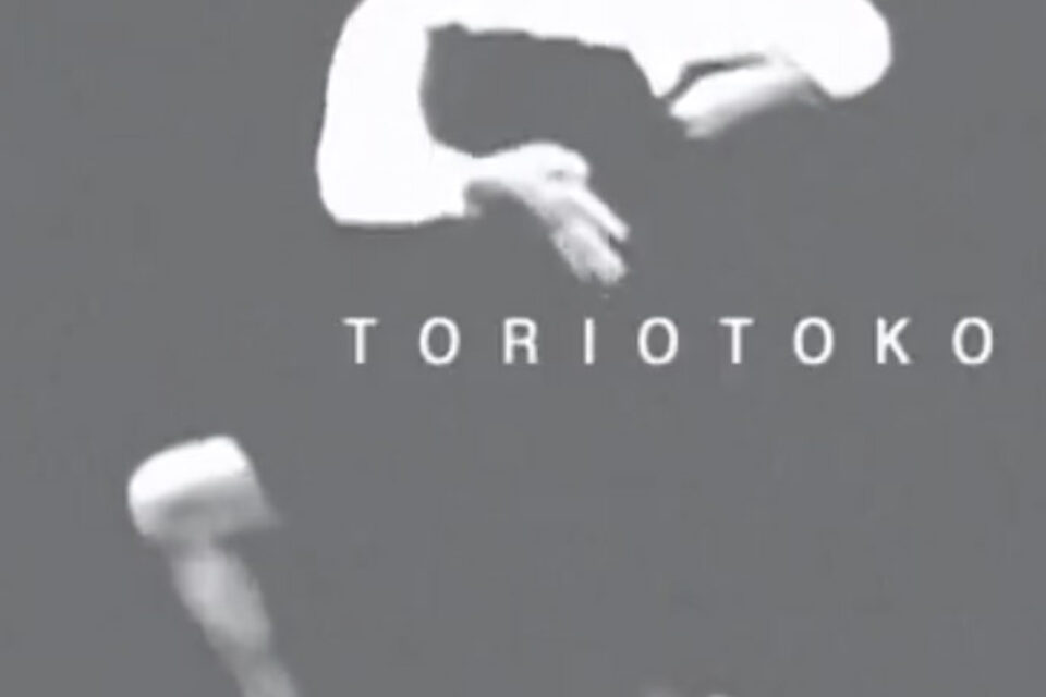 Toriotoko – One