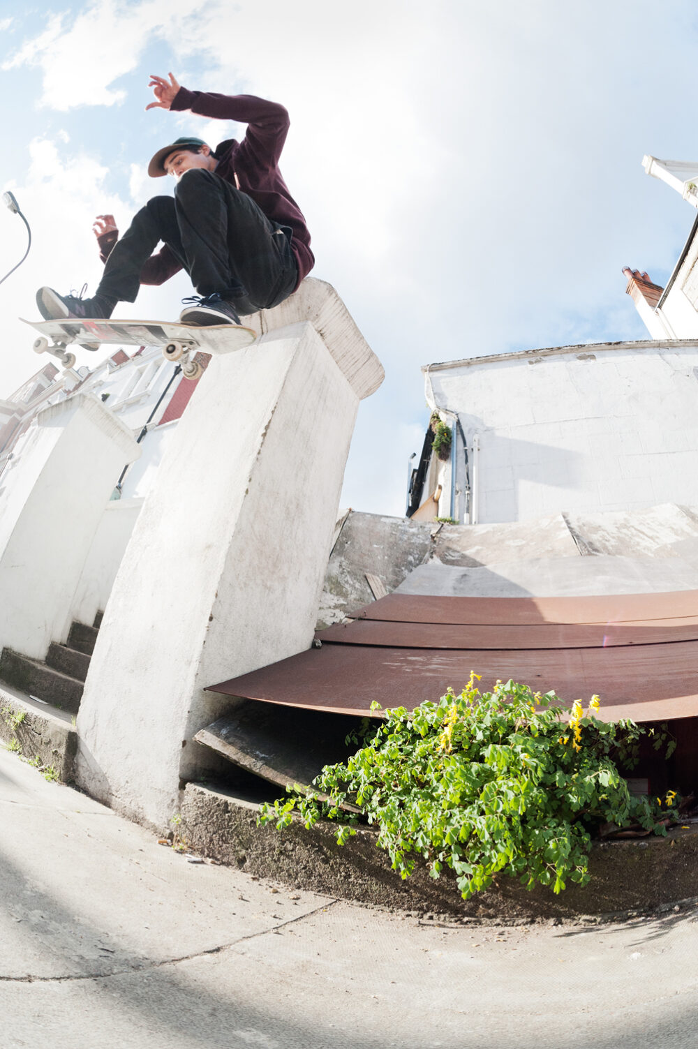 Tom_Knox_Wallie_Finchley_GREY_copyright_Henry_Kingsford