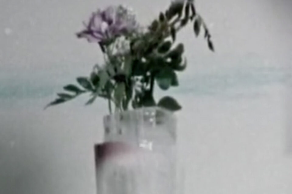 Vase Trailer