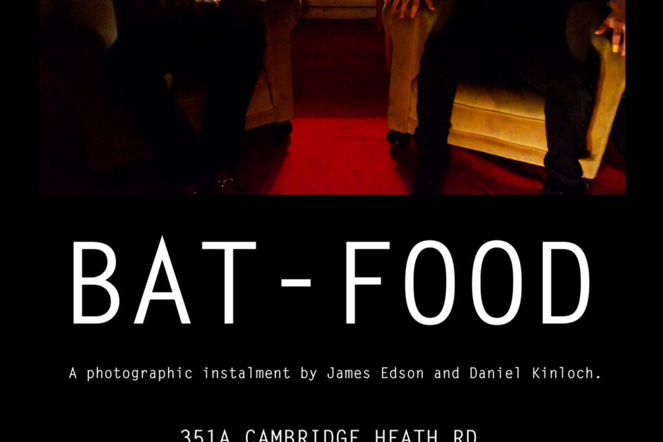 Bat Food