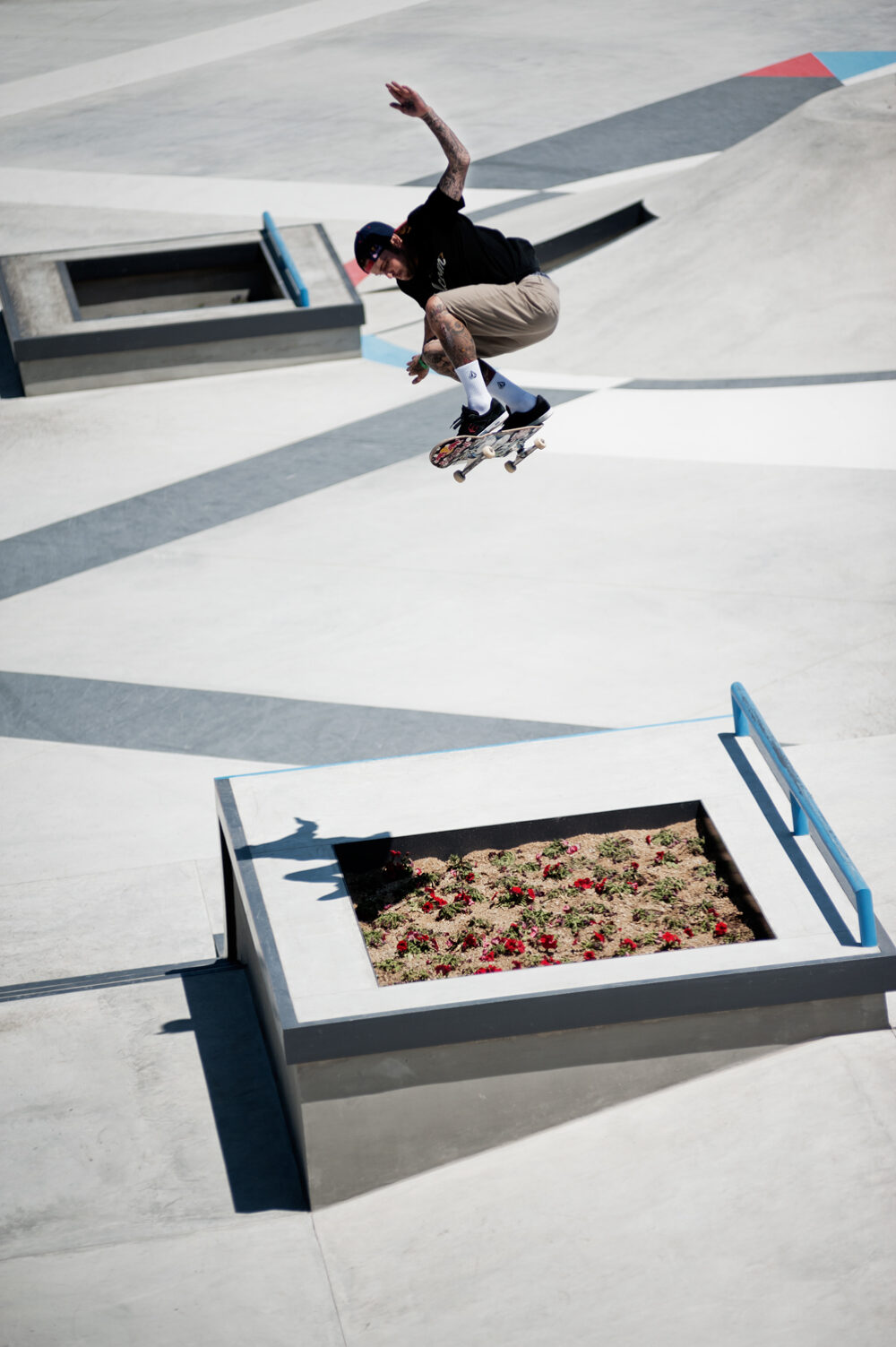 RYAN_SHECKLER_OLLIE_GREY_HENRY_KINGSFORD