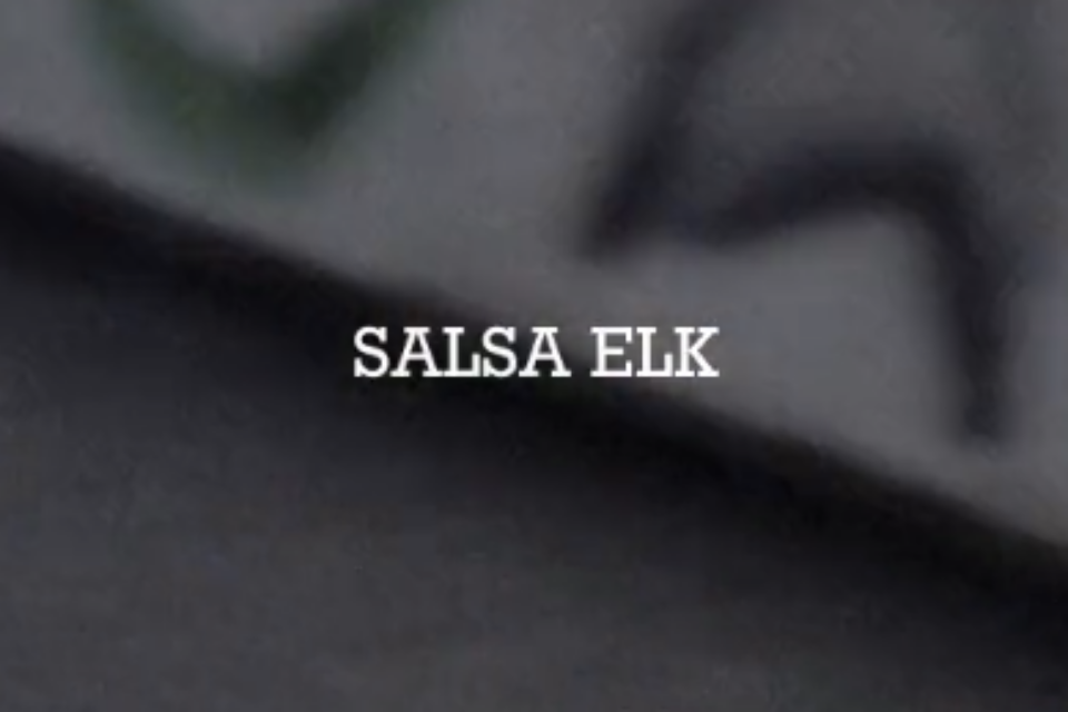 Salsa Elk