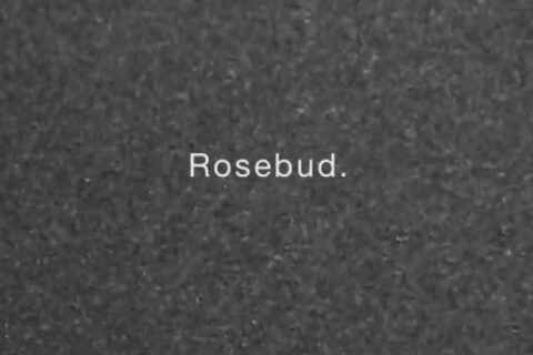 Rosebud