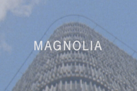Magnolia