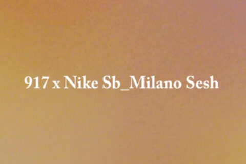 917 x Nike SB Milano Sesh