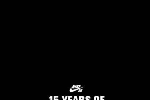 15 Years of SB Dunk