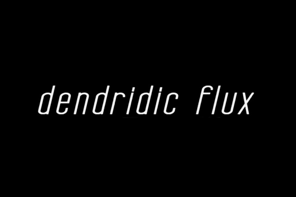 Dendridic Flux