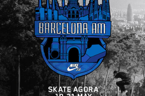 Nike SB Barcelona AM  2017