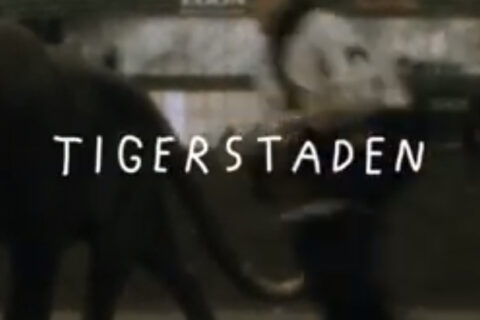 Tigerstaden