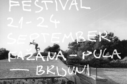 Vladimir 2017 programme