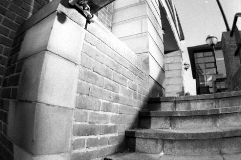 Tom Zealand – Paul