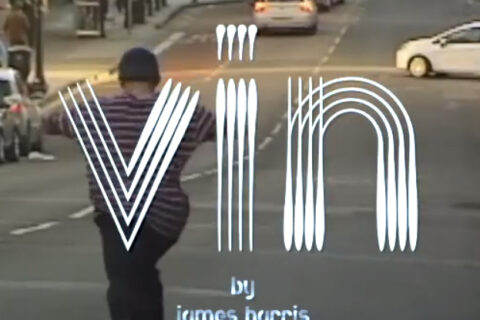 Vin