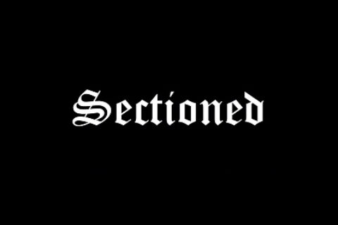 Sectioned