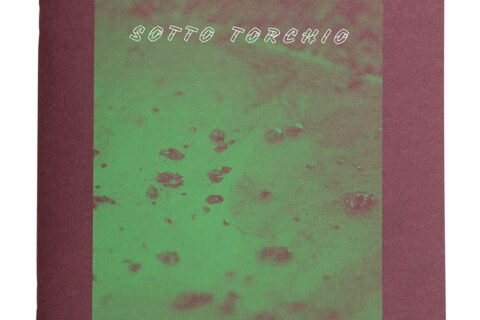 Sotto Torchio in shops now