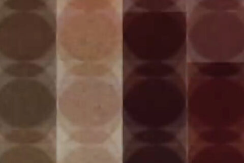 Yaje Popson’s Brick part