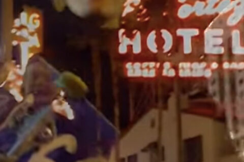 Frog Skaters in Las Vegas