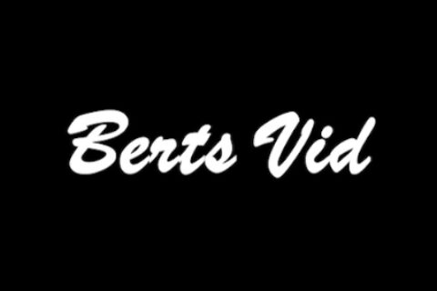 Berts Vid