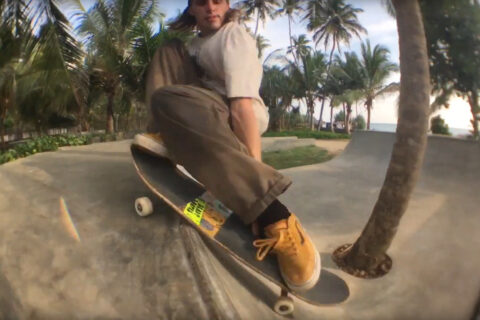 Ceylon Skids