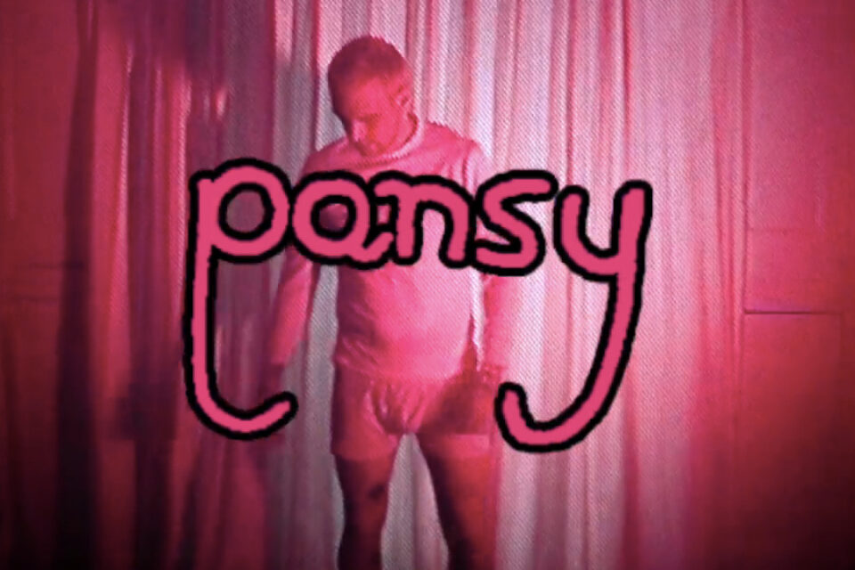 Pansy Promo