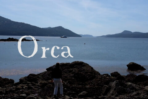 Orca – A Skate Clip