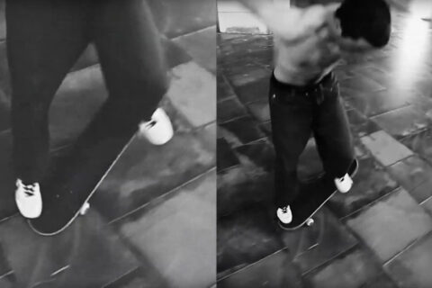 Garden Skateboards Limited – Zaragoza