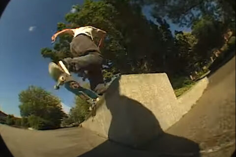 Orchard Skateshop: Egg