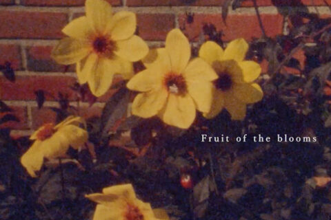 Fruit of the Blooms