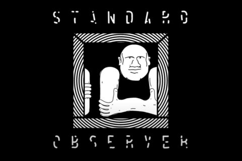 Grey Area – Standard Observer