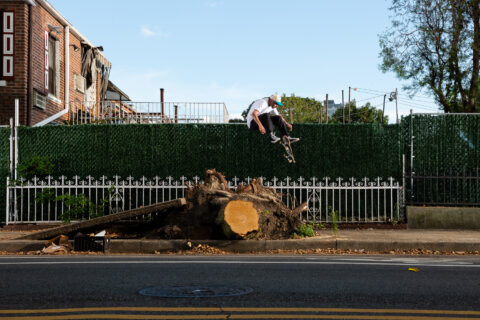 Leo Gutman – Vague Part