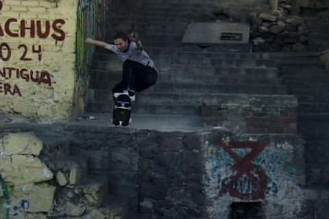 Felipe Bartolome – Perro Sismico