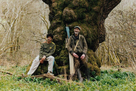 Palace Adidas: Nature