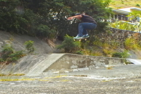 Vans Skateboarding x Frog