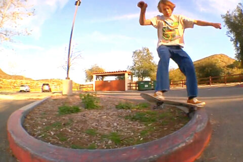 Aaron Yant