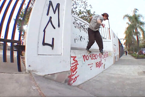 Antihero: Nick Matthews “The Pigeonator”