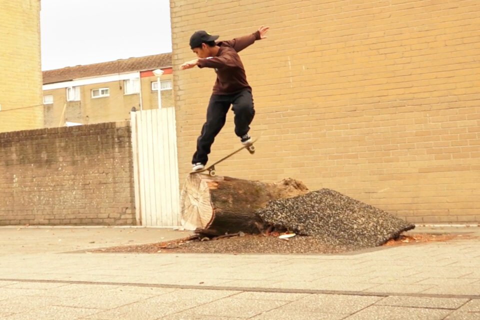 The Fountain of Youth